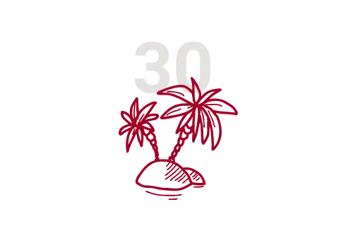 Das Icon mit einer Palme und der Zahl "30" steht für die 30 Tage Urlaub, die bei der Schaeffer AG standardmäßig angeboten werden.